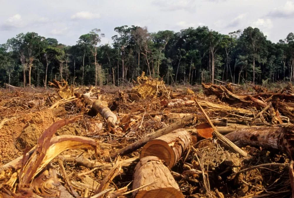 deforestacion-amazonas_0