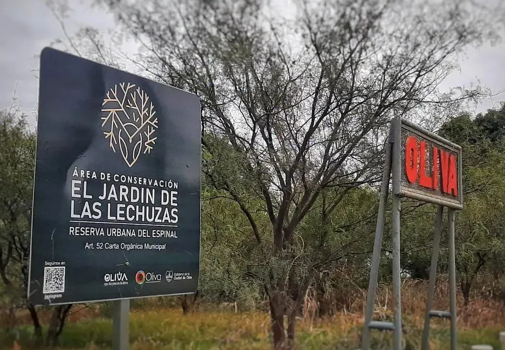 ECOOBJETIVO FOTO OLIVA BOSQUE DE LA LECHUZA 1