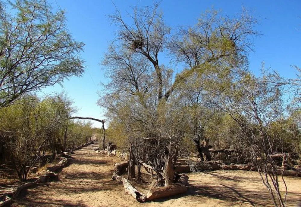 ECOOBJETIVO FOTO MENDOZA VISITAS ESCUELAS reserva-telteca-2-700x525