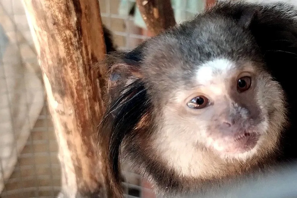 ECOOBJETIVO FOTO LAGUNA LARGA RESCATE FAUNA 130126 4