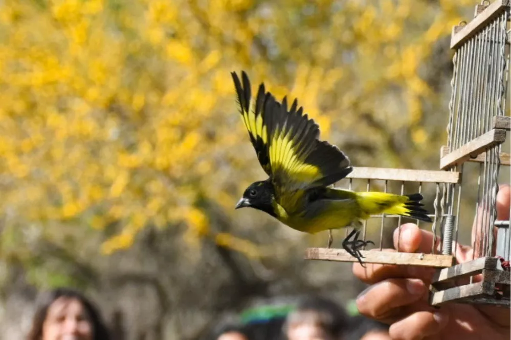 ECOOBJETIVO FOTO DIA MUNDIAL AVES 2