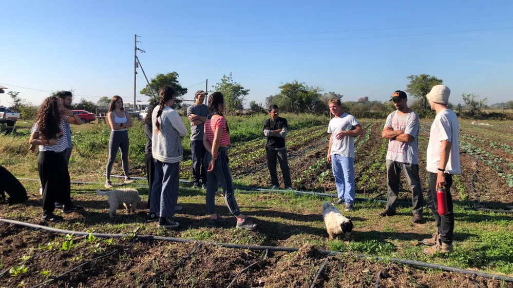 ECOOBJETIVO FOTO HUERTA AMBA 2 spg - destacada