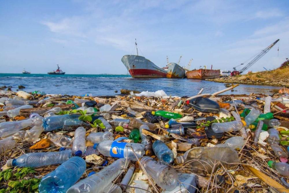 Plasticos Oceano