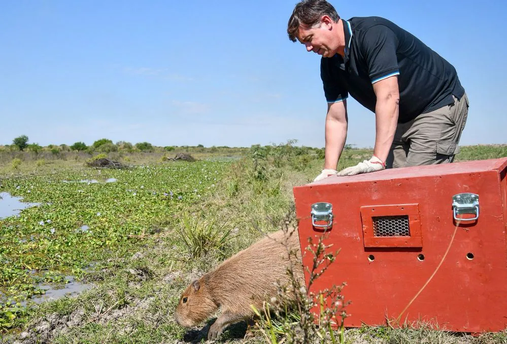 ECOOBJETIVO FOTO SANTA FE LIBERACION FAUNA SILVESTRE NORTE PROVINCIAL 2