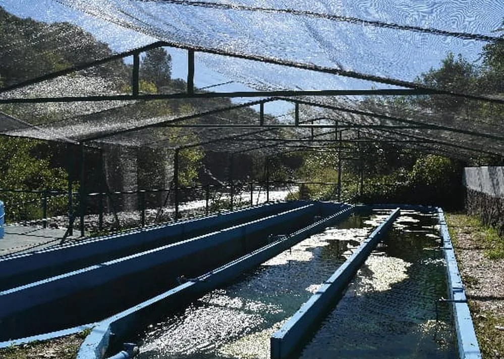 ECOOBJETIVO FOTO EMBALSE PLANTA ICTICA 1