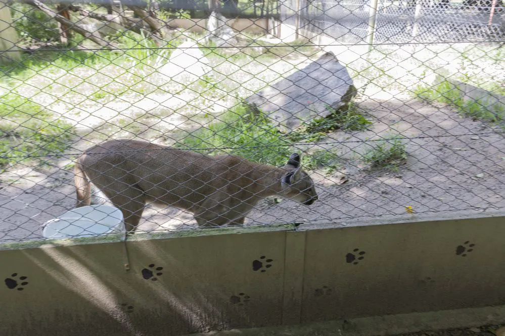 ECOOBJETIVO FOTO RIO CUARTO Recorrida Parque ecologíco PP 25-01-2024_16