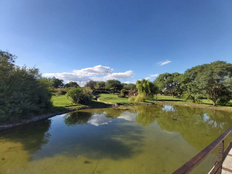 Jardin botasnico cordoba 00008