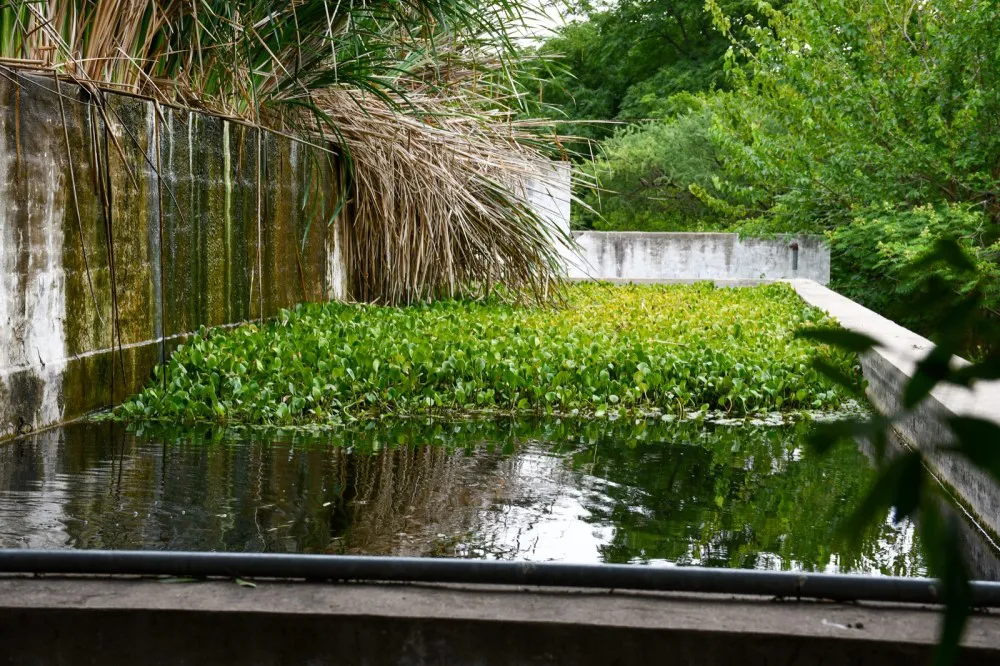 Estación de Piscicultura