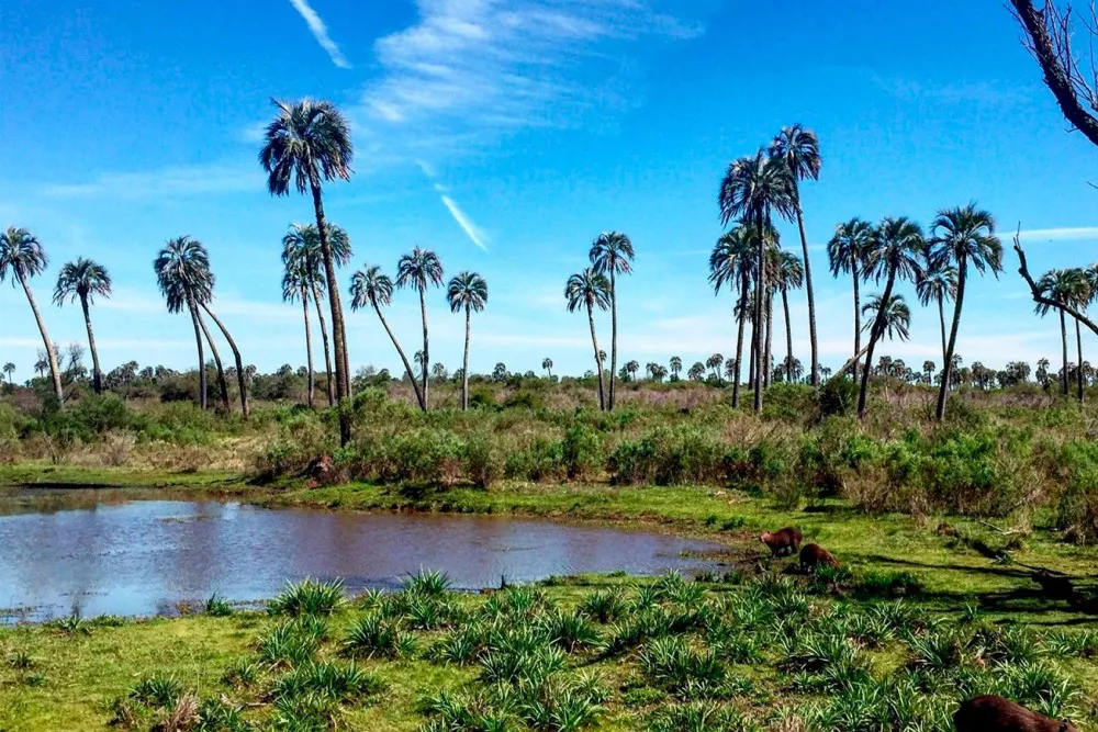 laguna-el-palmar-chaco