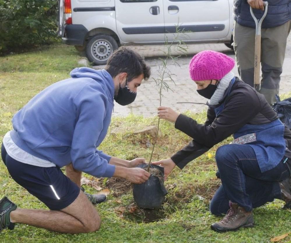 ECOOBJETIVO FOTO VILLA CARLOS PAZ REFORESTACION