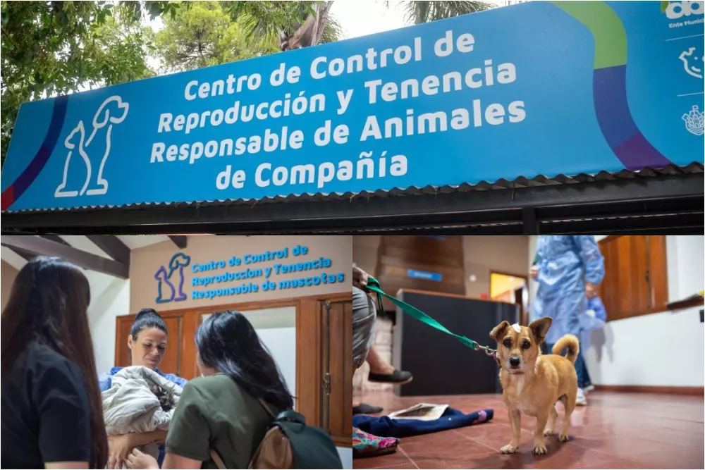 ctro de castraciones