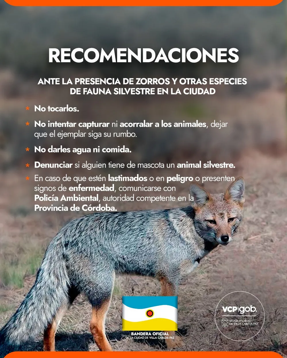 ECOOBJETIVO FOTO VILLA CARLOS PAZ FAUNA NATIVA 2