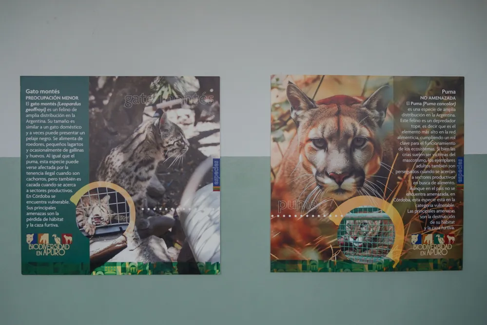 ECOOBJETIVO FOTO BELL VILLE UPC Bel-Ville-73-de-74