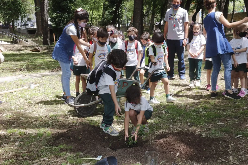 ECOOBJETIVO FOTO VILLA CARLOS PAZ PLANTACION ESCUELAS