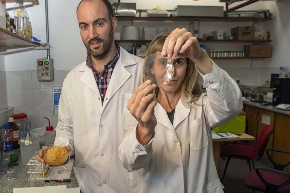 envases-biodegradables-universidad-quilmes