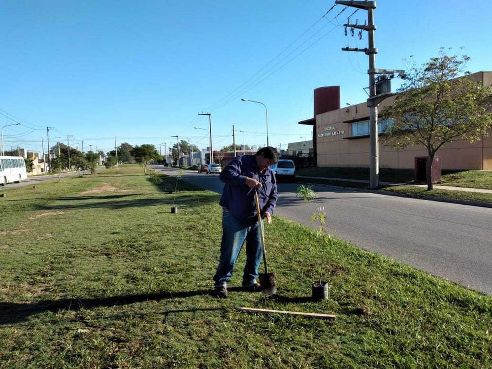 ECOOBJETIVO FOTO VILLA MARIA REFORESTACION