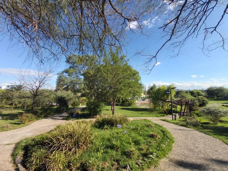 Jardin botasnico cordoba 00011