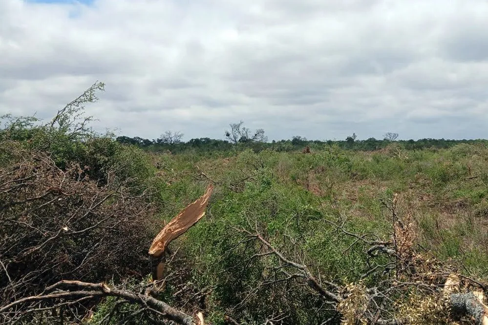 ECOOBJETIVO FOTO POLICIA AMBIENTAL desmontes6