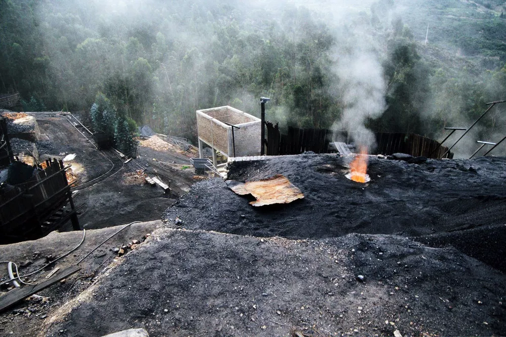 ECOOBJETIVO FOTO CAMBIO CLIMATICO CARBON