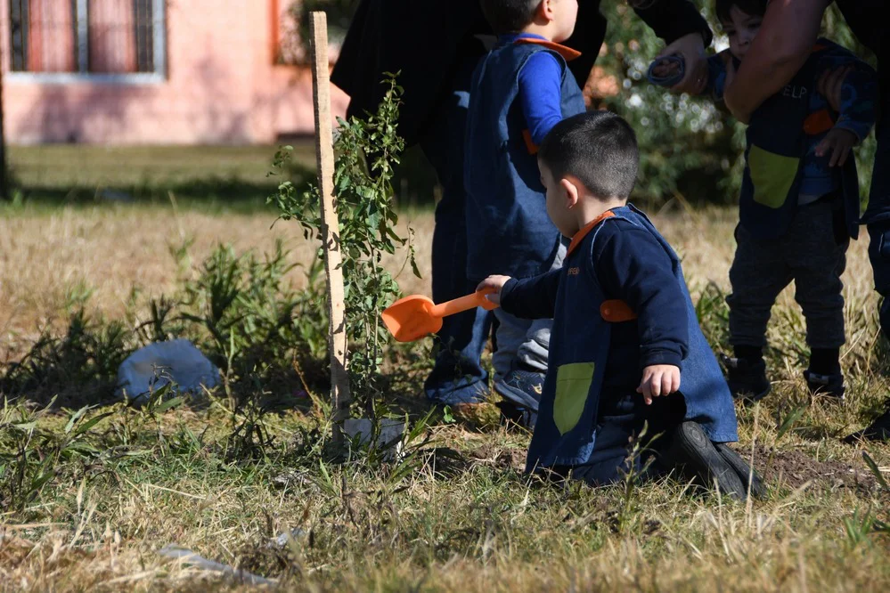 ECOOBJETIVO FOTO SAN FRANCISCO PLANTACION SAN CAYETANO