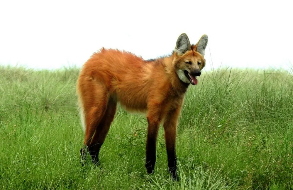 REGION OBJETIVO FOTO MONUMENTO NATURAL 4