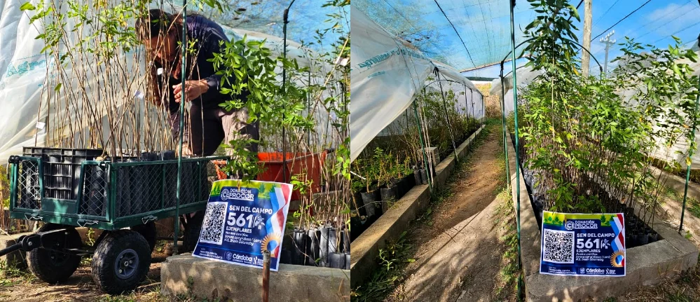 CEPROCOR donó más de 500 ejemplares de especies nativas 2