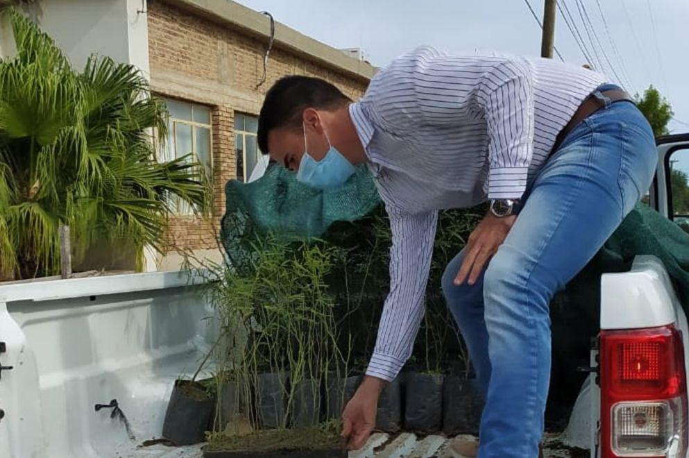 ECOOBJETIVO NOTA 0019 - REFORESTACION