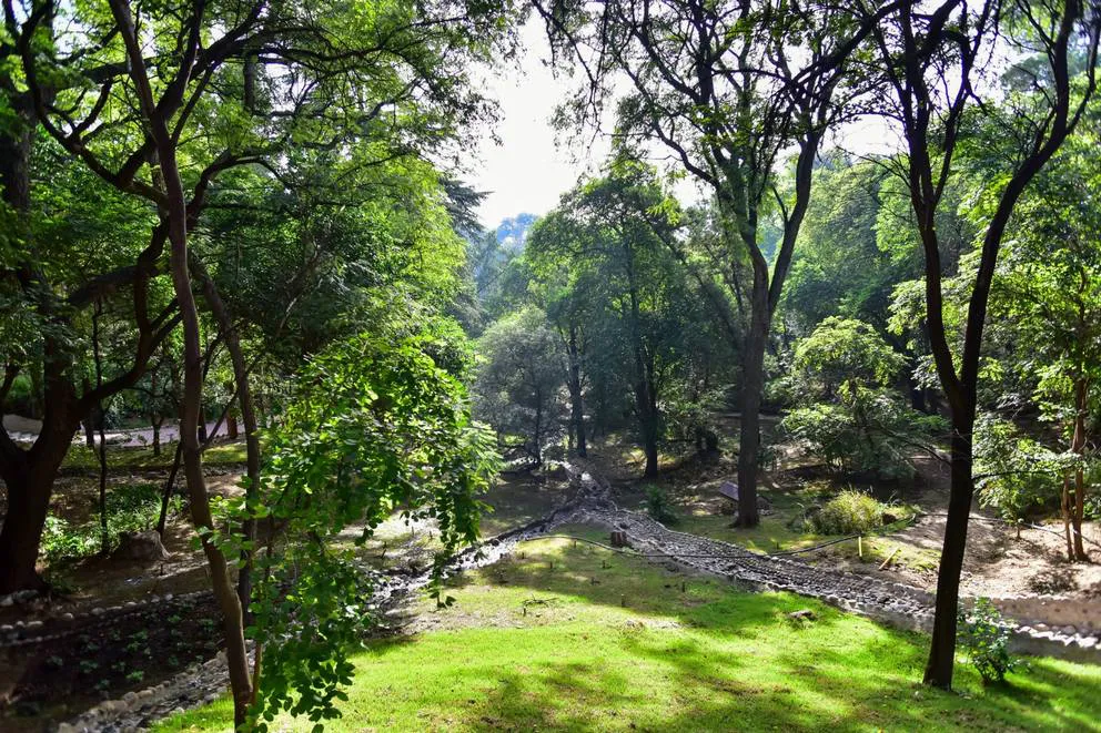parque-biodiversidad-20233